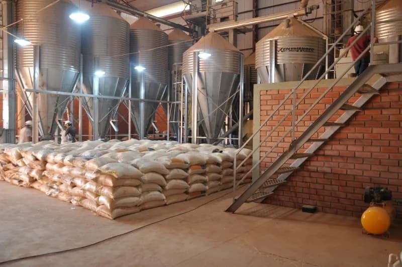 Armazém de Insumos – foto 7 da obra